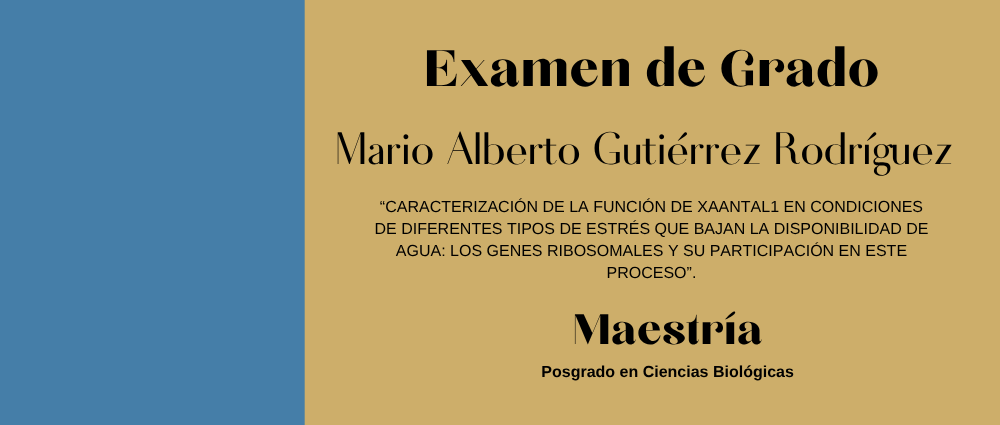 26 de junio   